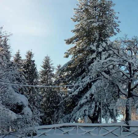 Bed & Breakfast Il Castagno Montemonaco