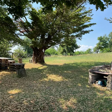 Il Castagno 3* مونتيموناكو