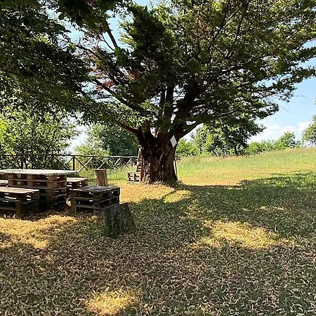 Il Castagno 蒙泰蒙阿科