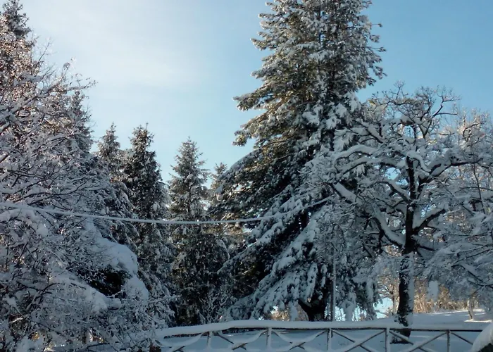 Bed & Breakfast Il Castagno Montemonaco